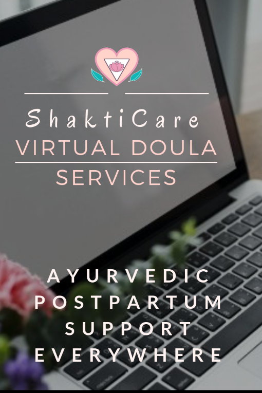 Virtual Doula Services