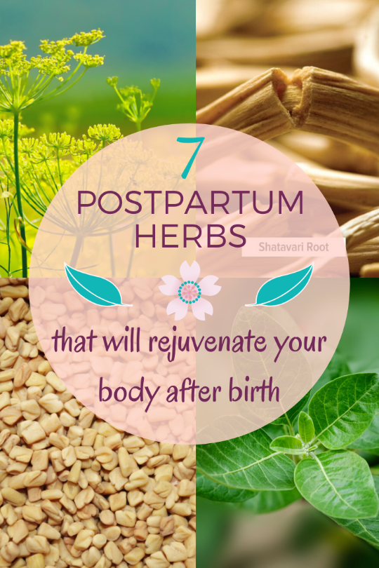 best postpartum herbs